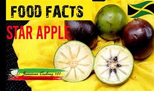 Image result for Jamaican Star Apple