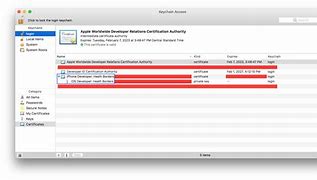 Image result for Apple USB Cable Certificate