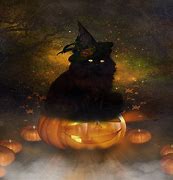 Image result for Black Cat Halloween PFP