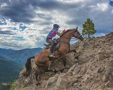 Image result for Endurance Riders