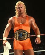 Image result for WWF Wrestling Superstars