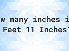 Image result for 4 Feet 11 Inches