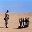 Image result for Gulf War Shutters
