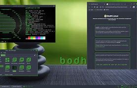 Image result for Bodhi Linux 32-Bit
