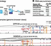 Image result for R Exon-Intron RNA-Seq Stat