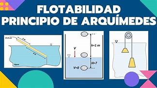 Image result for flotagilidad
