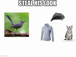 Image result for Steal His Look Bird Meme
