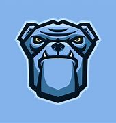 Image result for Mascot Logo All in One