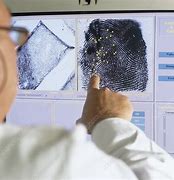 Image result for Forensic Fingerprint Analyst
