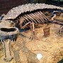 Image result for Sarcosuchus