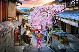 Image result for Japan Country Culture Photos