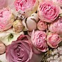 Image result for Pink Peonies Wallpaper