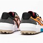 Image result for Tiger Trainers