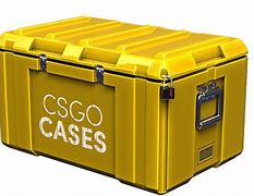 Image result for CS 40 Case