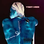Image result for What I Need Song