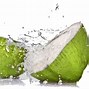 Image result for Fruit Vector Free