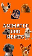 Image result for Dog It Meme