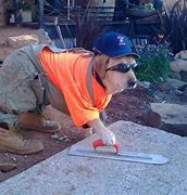 Image result for Construction Dog Meme