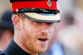 Image result for Prince Harry White Background