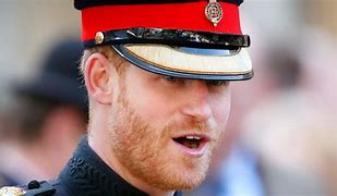 Image result for Prince Harry Mirror