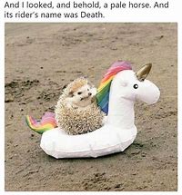 Image result for Sad Unicorn Meme