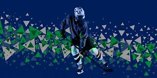 Image result for vancouver canuck
