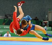 Image result for Martial Arts Fighting Styles Photos