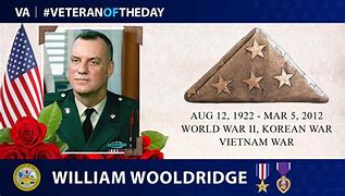 Image result for Sergeant Major of the Army Wooldridge