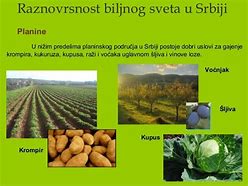 Image result for mobilni svet srbija