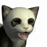 Image result for Meow Cat Pet