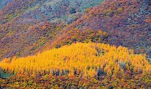 Image result for Lanzhou Mountain Scenery