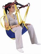 Image result for 4 Point Clip Sling