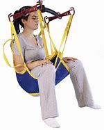 Image result for 4 Point Clip Sling