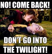 Image result for Twilight Imprinting Meme