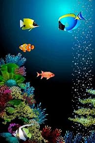 Image result for iPhone Fish Wallpaper for Desktop