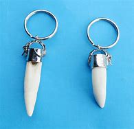 Image result for Gator Tooth Keychain