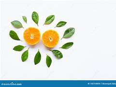 Image result for Orange Fruit Green Leaf