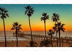 Image result for California Beach Palm Trees