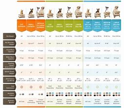 Image result for Size Comparison Chart