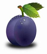 Image result for Purple Plum Clip Art