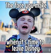Image result for Disney Fan Meme