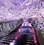 Image result for mt fuji cherry blossoms wallpapers