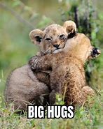 Image result for Give Me a Hug Meme