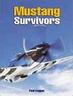 Image result for P-51 Mustang