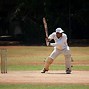 Image result for Softball Cricket Bat