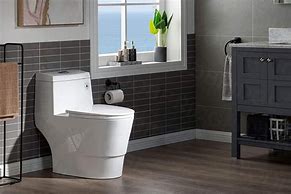 Image result for Double Flush Toilet