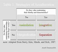 Image result for Acculturation Chart