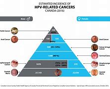 Image result for HPV Virus Types