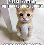 Image result for Funny Day After Thanksgiving Memes