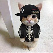 Image result for Yeat Cat Meme